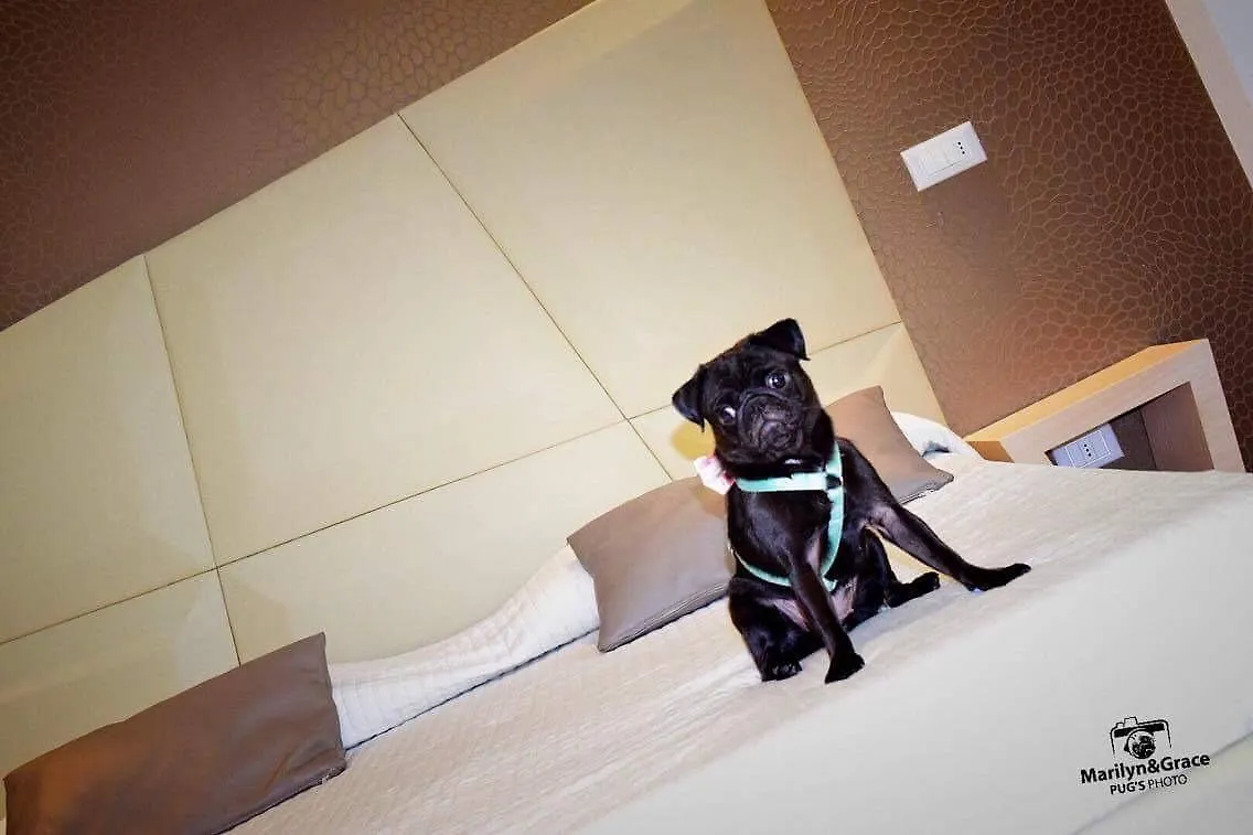 Hotel Principe Rimini